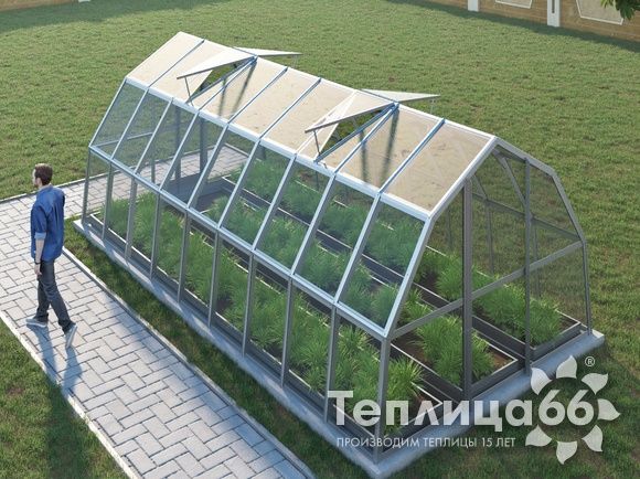 Теплица Рада Исеть под стекло, 3x6 метра